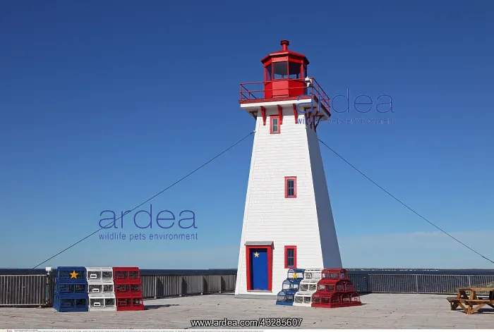 : Geografie, Kanada, New Brunswick, Shippagan, Portage : Geografie, Kanada, New Brunswick, Shippagan, Portage