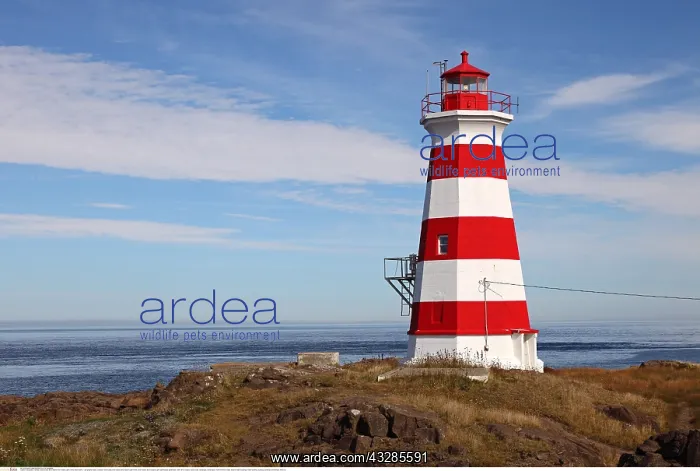 : Geografie, Kanada, Nova Scotia, Brier Island, Brier : Geografie, Kanada, Nova Scotia, Brier Island, Brier