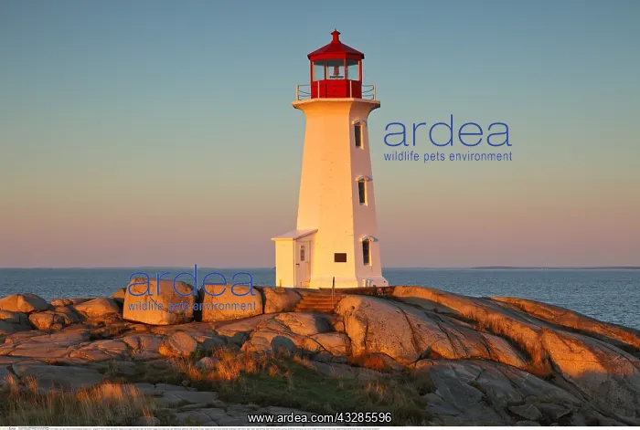: Geografie, Kanada, Nova Scotia, Peggys Cove, Peggys : Geografie, Kanada, Nova Scotia, Peggys Cove, Peggys