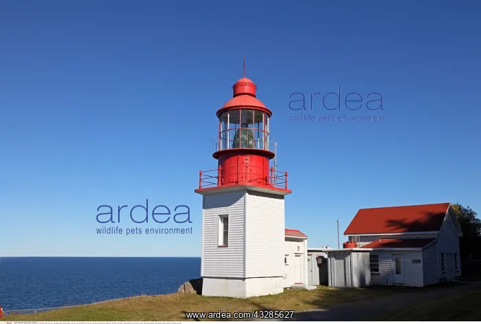 : Geografie, Kanada, Quebec, Cap-Chat, Cap-Chat Light : Geografie, Kanada, Quebec, Cap-Chat, Cap-Chat Light