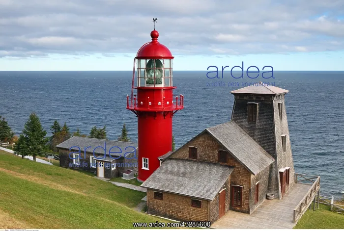 : Geografie, Kanada, Quebec, L'Anse-a-Valleau, Pointe : Geografie, Kanada, Quebec, L'Anse-a-Valleau, Pointe