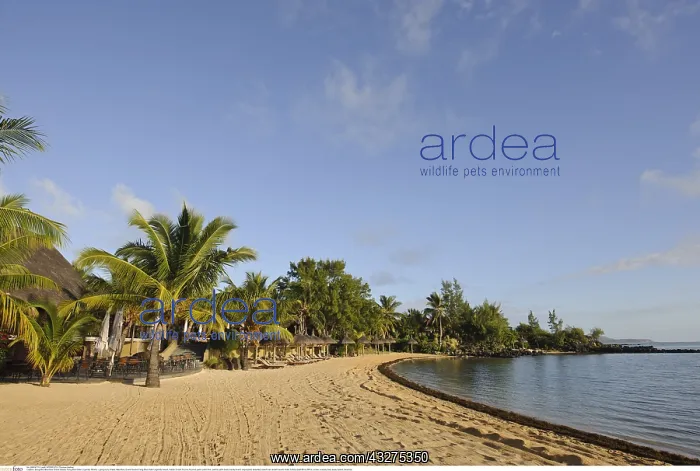: Geografie, Mauritius, Grand Gaube, Feng Shui Hotel : Geografie, Mauritius, Grand Gaube, Feng Shui Hotel