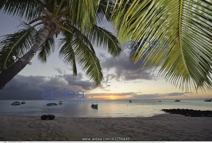 : Geografie, Mauritius, Le Morne, Strand bei Sonnenuntergang : Geografie, Mauritius, Le Morne, Strand bei Sonnenuntergang