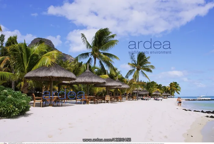 : Geografie, Mauritius, Le Morne, Hotel Paradis, Strand : Geografie, Mauritius, Le Morne, Hotel Paradis, Strand
