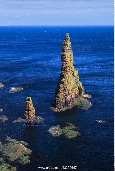 : Geografie, Schottland : Geografie, Schottland