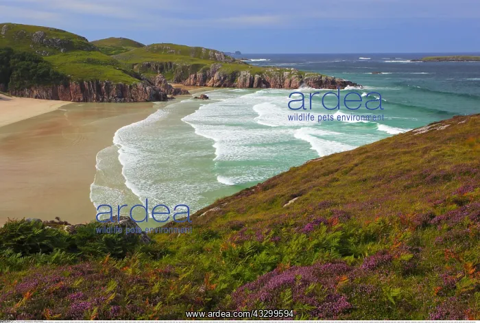 : Geografie, Schottland, Sandstrand : Geografie, Schottland, Sandstrand