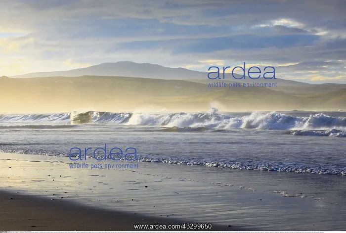  : Geografie, Schottland, Sandstrand