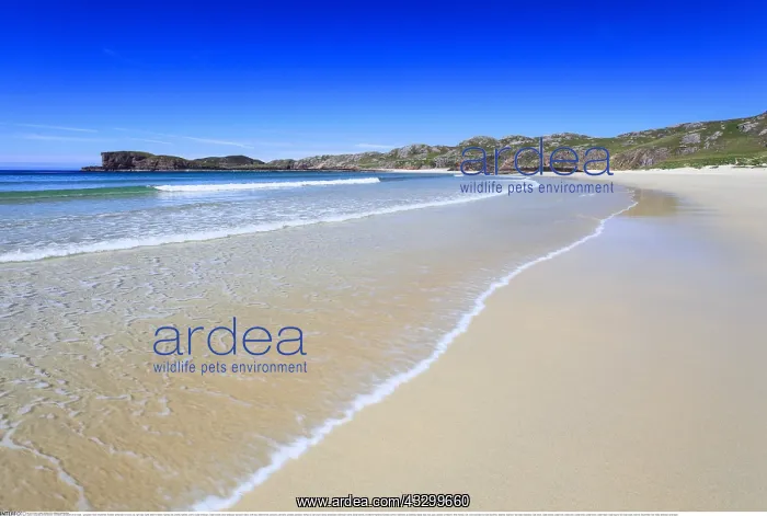 : Geografie, Schottland, Sandstrand : Geografie, Schottland, Sandstrand