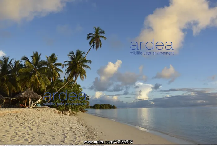 : Geografie, Seychellen, Amiranten, Desroches Island : Geografie, Seychellen, Amiranten, Desroches Island