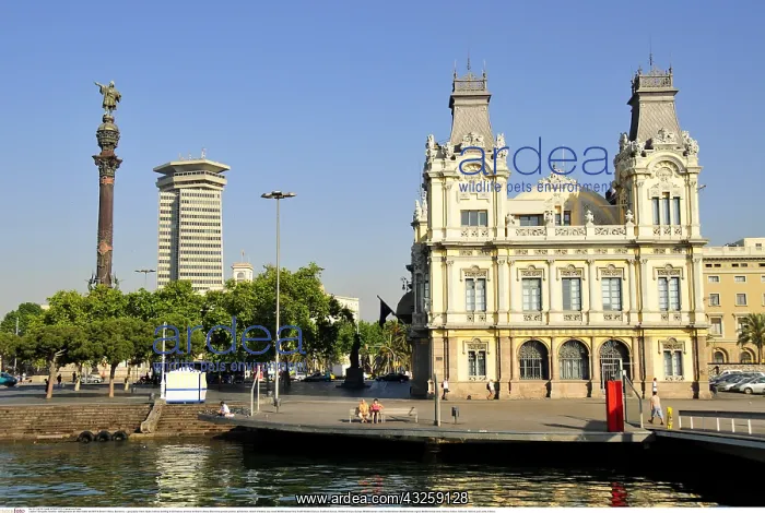 : Geografie, Spanien, Hafengeb&x4d64;e am Alten Hafen : Geografie, Spanien, Hafengeb&x4d64;e am Alten Hafen