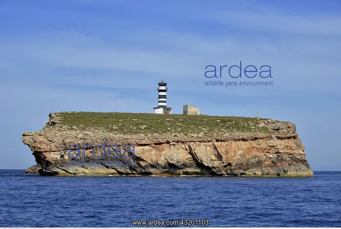 : Geografie, Spanien, Leuchtturm auf der Insel Na : Geografie, Spanien, Leuchtturm auf der Insel Na