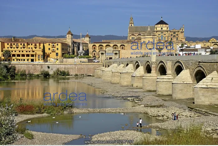 : Geografie, Spanien, R&x1ada73;che Br&x23ae5b20;Puente : Geografie, Spanien, R&x1ada73;che Br&x23ae5b20;Puente
