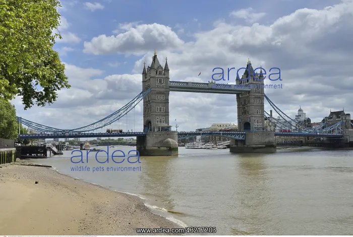 : Geografie, Tower Bridge &x22972824;ie : Geografie, Tower Bridge &x22972824;ie