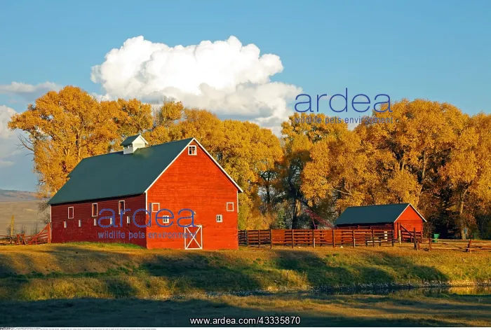 : Geografie, USA, Colorado, Red Barn, Horse River : Geografie, USA, Colorado, Red Barn, Horse River