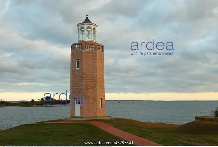 : Geografie, USA, Connecticut, Groton, Avery Point : Geografie, USA, Connecticut, Groton, Avery Point