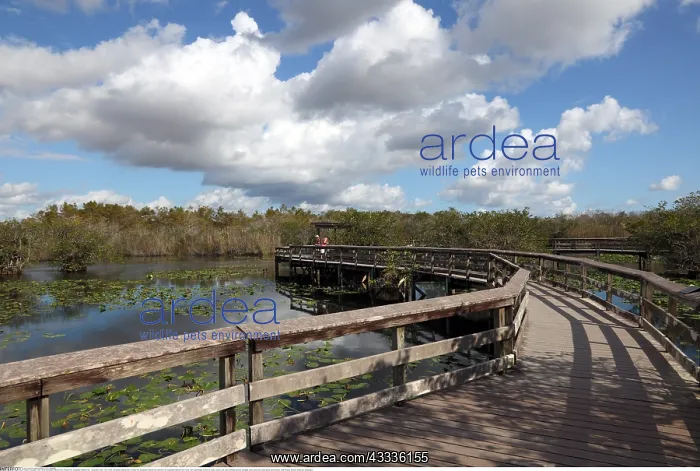 : Geografie, USA, Florida, Everglades National Park : Geografie, USA, Florida, Everglades National Park