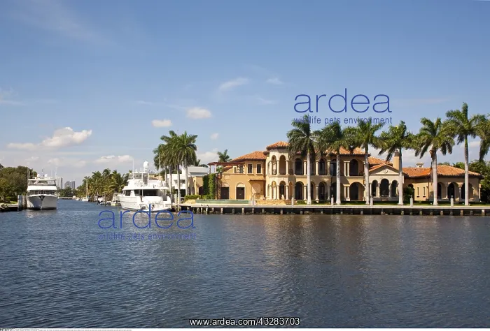 : Geografie, USA, Florida, Fort Lauderdale, - geography : Geografie, USA, Florida, Fort Lauderdale, - geography