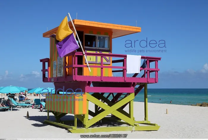 : Geografie, USA, Florida, Miami Beach, Baywatch Station : Geografie, USA, Florida, Miami Beach, Baywatch Station