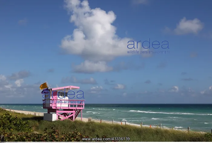 : Geografie, USA, Florida, Miami Beach, Baywatch Station
