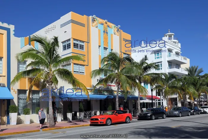 : Geografie, USA, Florida, Miami Beach, Art Deco District : Geografie, USA, Florida, Miami Beach, Art Deco District
