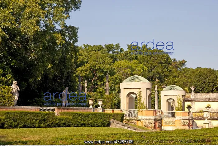 : Geografie, USA, Florida, Miami, Villa Vizcaya, - : Geografie, USA, Florida, Miami, Villa Vizcaya, -