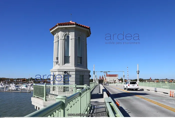 : Geografie, USA, Florida, St. Augustine, Bridge of : Geografie, USA, Florida, St. Augustine, Bridge of