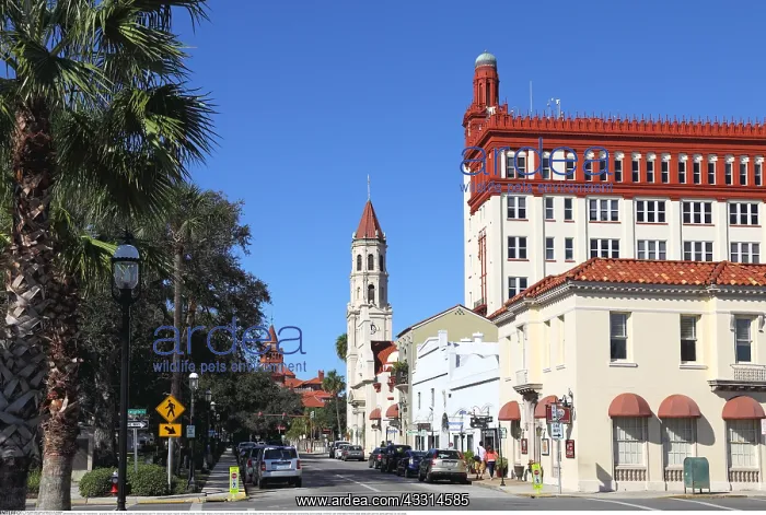 : Geografie, USA, Florida, St. Augustine, Cathedral : Geografie, USA, Florida, St. Augustine, Cathedral
