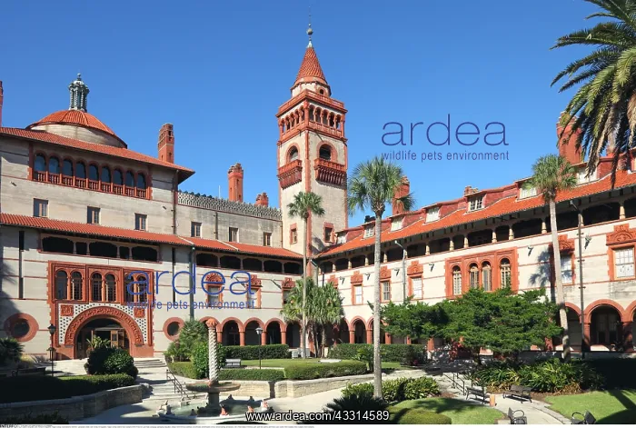: Geografie, USA, Florida, St. Augustine, Flagler : Geografie, USA, Florida, St. Augustine, Flagler