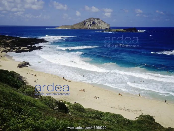 : Geografie, USA, Hawaii, Insel Oahu, Strand, Makapuu : Geografie, USA, Hawaii, Insel Oahu, Strand, Makapuu