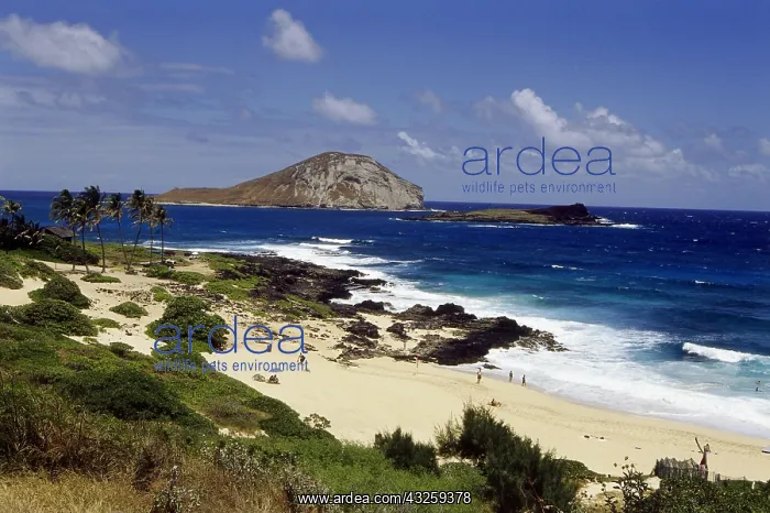 : Geografie, USA, Hawaii, Insel Oahu, Makapuu Beach : Geografie, USA, Hawaii, Insel Oahu, Makapuu Beach