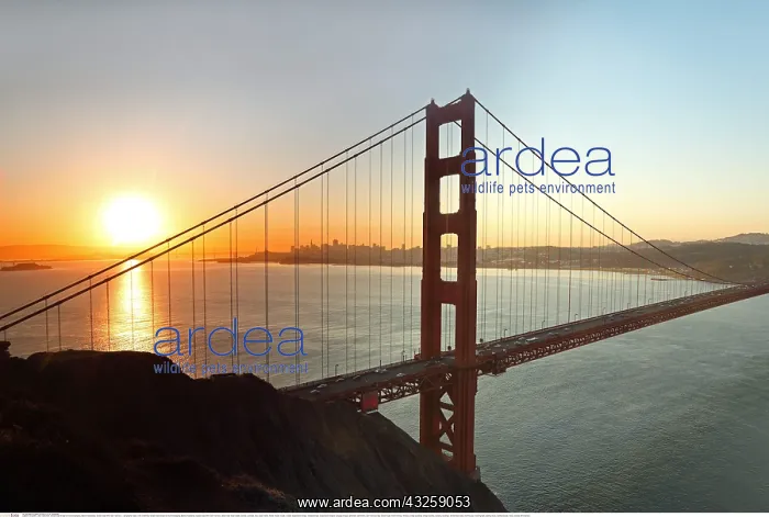 : Geografie, USA, Kalifornien, Golden Gate Bridge : Geografie, USA, Kalifornien, Golden Gate Bridge