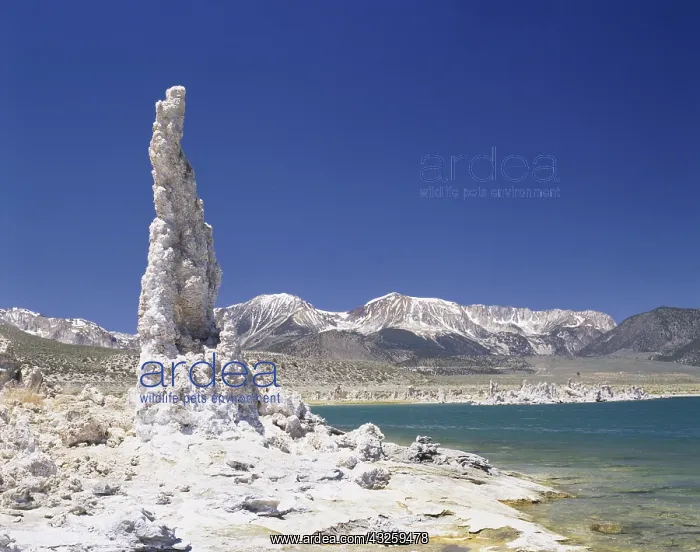 : Geografie, USA, Kalifornien, Mono Lake, Tuffsteinformationen : Geografie, USA, Kalifornien, Mono Lake, Tuffsteinformationen