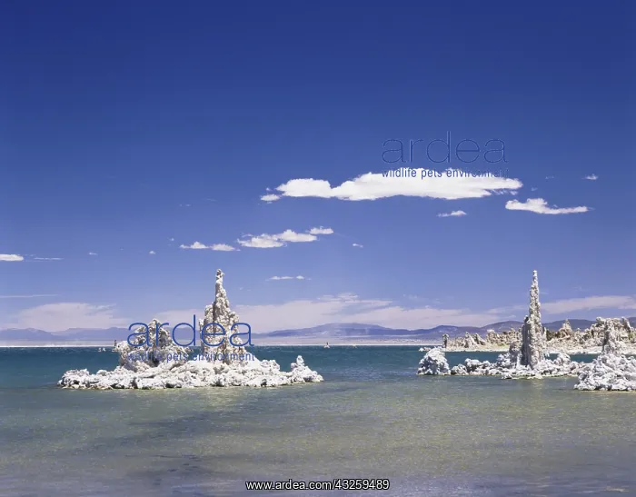 : Geografie, USA, Kalifornien, Mono Lake, Tuffsteinformatione : Geografie, USA, Kalifornien, Mono Lake, Tuffsteinformatione