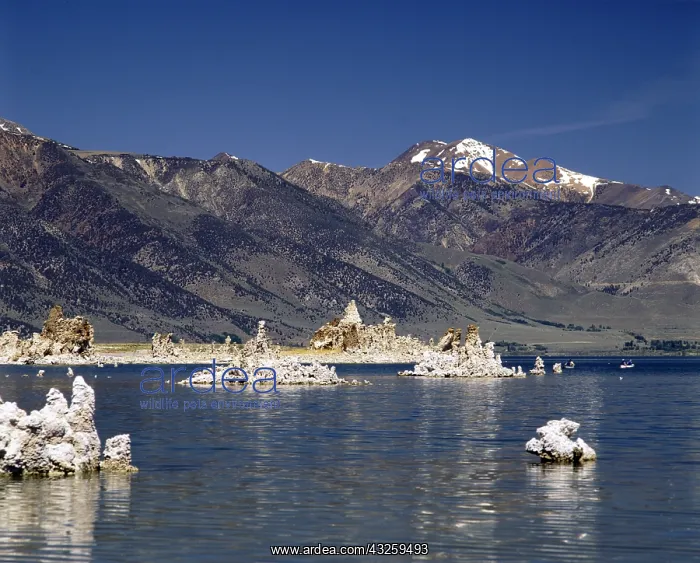 : Geografie, USA, Kalifornien, Mono Lake, Tuffsteinformatione : Geografie, USA, Kalifornien, Mono Lake, Tuffsteinformatione