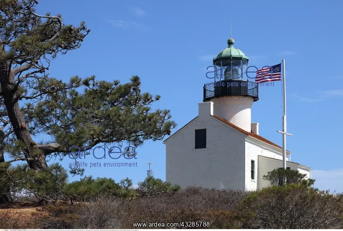: Geografie, USA, Kalifornien, San Diego, Old Point : Geografie, USA, Kalifornien, San Diego, Old Point