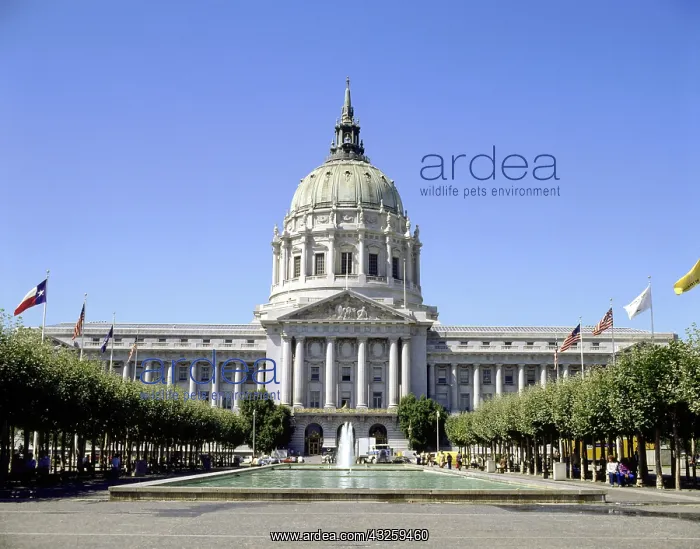 : Geografie, USA, Kalifornien, San Francisco, Geb&x4d64;e : Geografie, USA, Kalifornien, San Francisco, Geb&x4d64;e