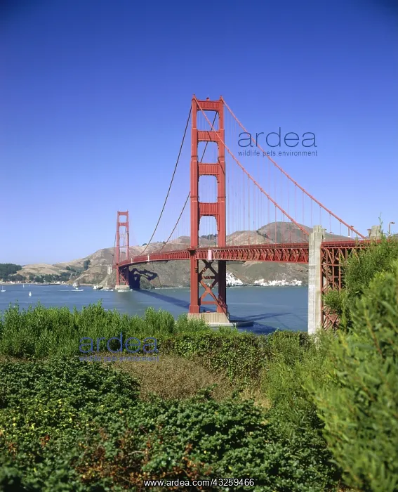 : Geografie, USA, Kalifornien, San Francisco, Br&x23ae5bac; : Geografie, USA, Kalifornien, San Francisco, Br&x23ae5bac;