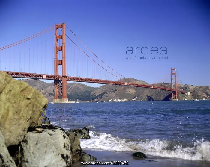 : Geografie, USA, Kalifornien, San Francisco, Br&x23ae5bac; : Geografie, USA, Kalifornien, San Francisco, Br&x23ae5bac;