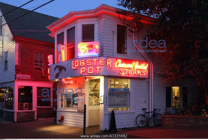 : Geografie, USA, Lobster Pot (Hummer), Provincetown : Geografie, USA, Lobster Pot (Hummer), Provincetown