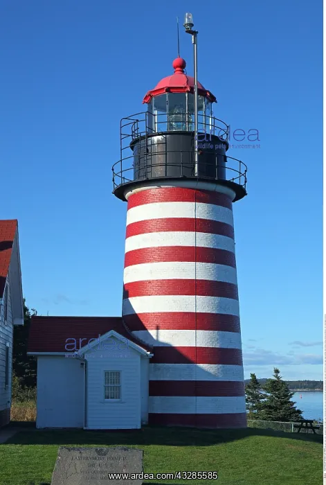 : Geografie, USA, Maine, Lubec, West Quoddy Light : Geografie, USA, Maine, Lubec, West Quoddy Light