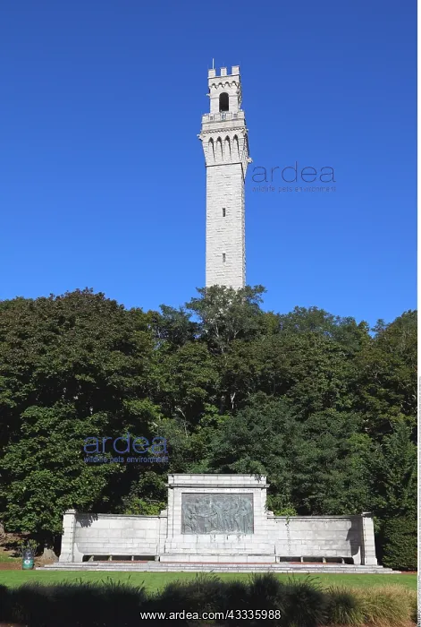 : Geografie, USA, Massachusetts, Provincetown, Pilgrim : Geografie, USA, Massachusetts, Provincetown, Pilgrim