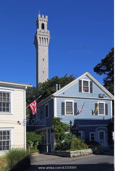 : Geografie, USA, Massachusetts, Provincetown, Pilgrim : Geografie, USA, Massachusetts, Provincetown, Pilgrim