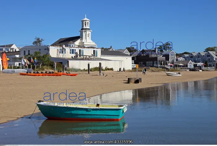 : Geografie, USA, Massachusetts, Provincetown, Strand : Geografie, USA, Massachusetts, Provincetown, Strand