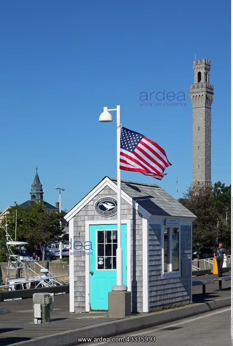 : Geografie, USA, Massachusetts, Provincetown, Blick : Geografie, USA, Massachusetts, Provincetown, Blick