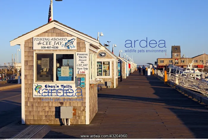 : Geografie, USA, Massachusetts, Provincetown, Pier : Geografie, USA, Massachusetts, Provincetown, Pier