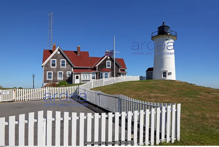 : Geografie, USA, Massachusetts, Woods Hole auf Cape : Geografie, USA, Massachusetts, Woods Hole auf Cape
