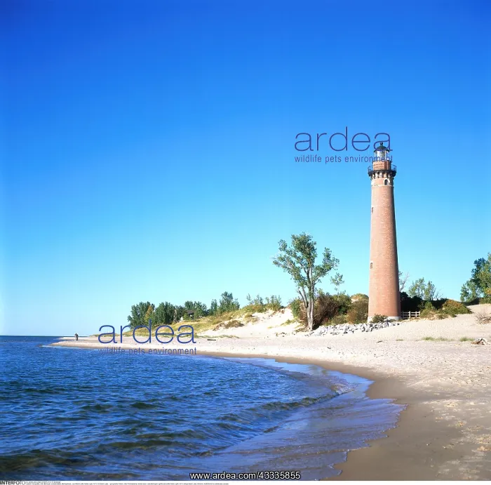 : Geografie, USA, Michigan, Landschaften, Michigansee : Geografie, USA, Michigan, Landschaften, Michigansee
