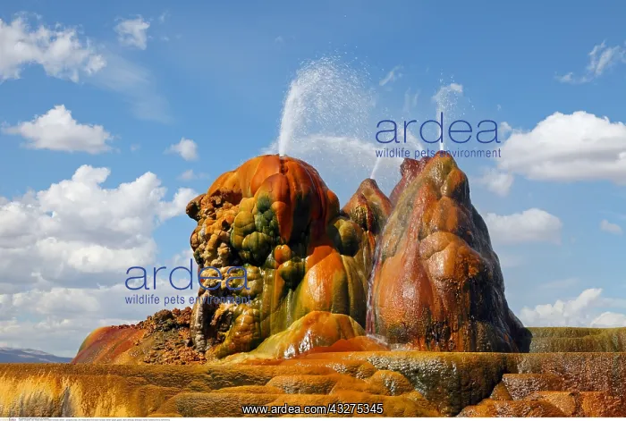 : Geografie, USA, Nevada, Black Rock Desert, Fly Geyser : Geografie, USA, Nevada, Black Rock Desert, Fly Geyser