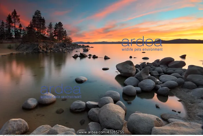 : Geografie, USA, Nevada, Incline Village, Sand Harbor : Geografie, USA, Nevada, Incline Village, Sand Harbor