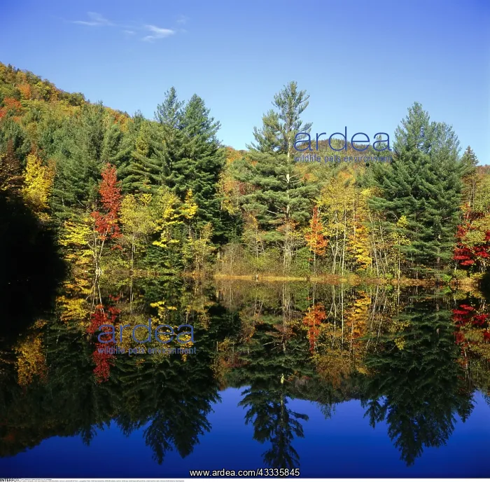 : Geografie, USA, New Hampshire, White Mountains : Geografie, USA, New Hampshire, White Mountains